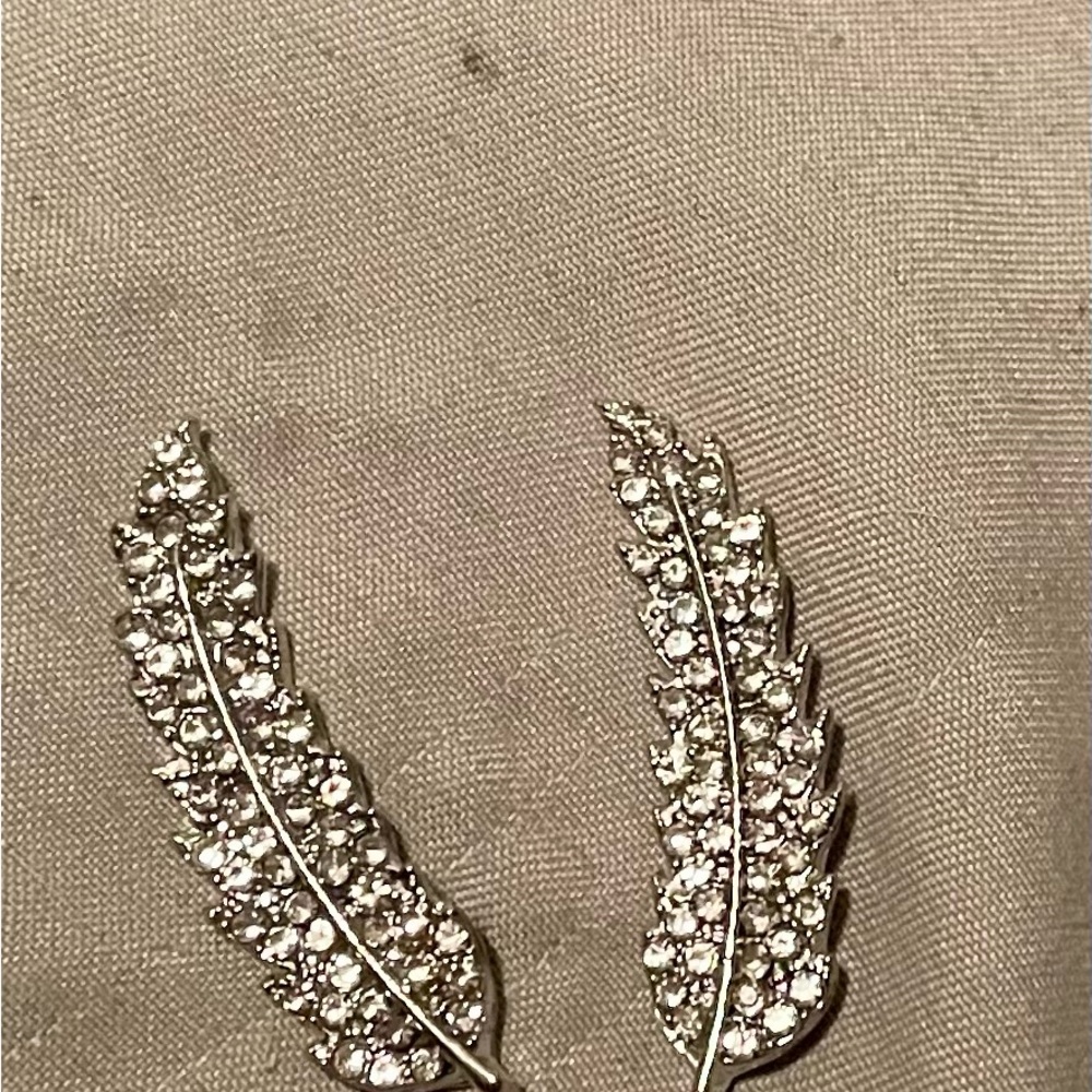 Elegant Crystal Feather Ear Climber Earrings in Silver